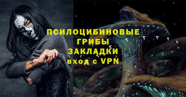 экстази Пересвет