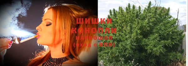 экстази Пересвет